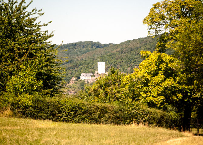 Und wieder "schaut" Burg Sterrenberg um die Ecke.