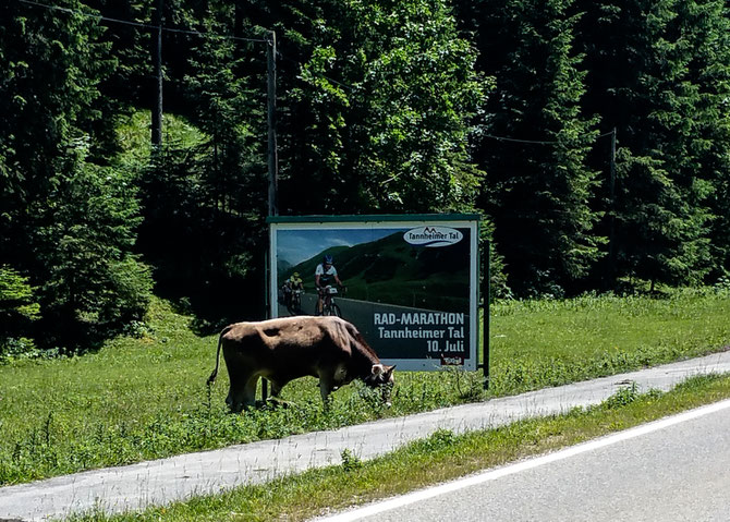 Da wollen wir hin: RAD-MARATHON Tannheimer Tal am 10. Juli 2016 😎