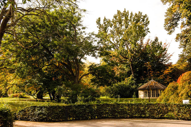 Der botanische Garten steht jedermann offen. Der Eintritt ist frei.