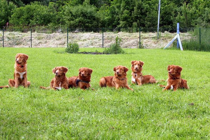 vlnr.: Frieda, Mama, Ella, ich, Flücko, Nyla