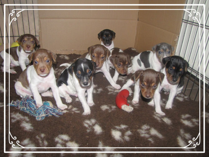 Dreamdancervomnahetal Jimdo Com Dreamdancervomnahetal