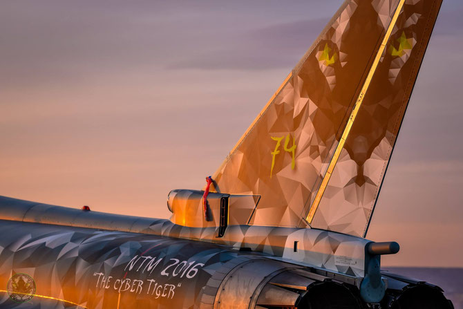 ghost tiger eurofighter