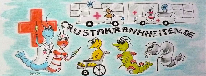 Crusta Online Hospital – Garnelenkrankheiten