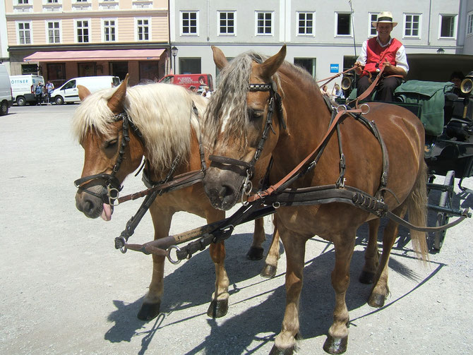 Fiaker-Fahrt in Salzburg