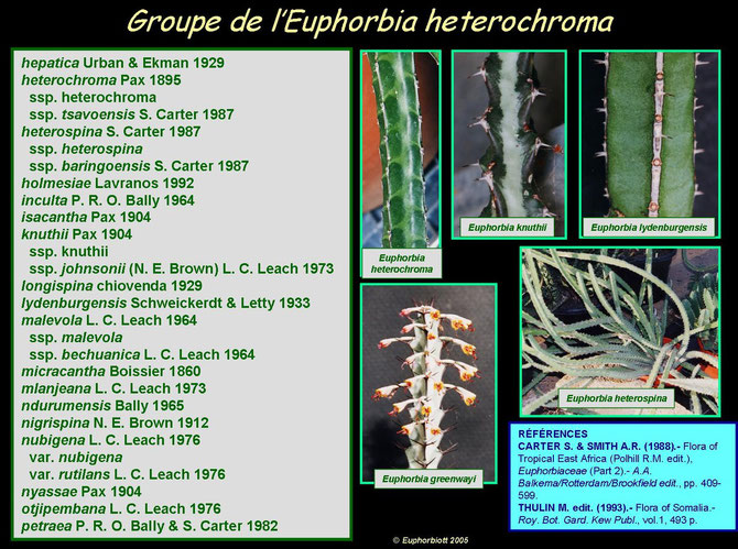 heterochroma 3