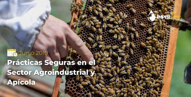 Prácticas Seguras en el Sector Agroindustrial y Apícola