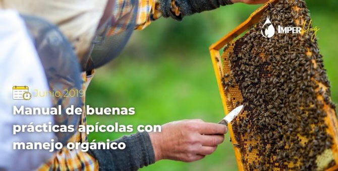 Manual de buenas prácticas apícolas con manejo orgánico