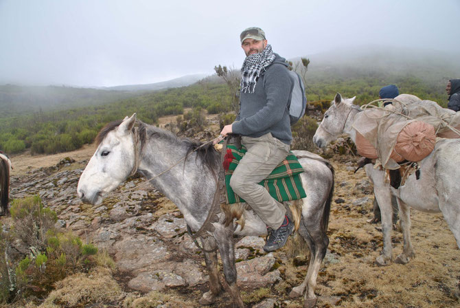 Bale Mountains, Pferdetrekking, Bale Trek, Äthiopien, Reiseführer, Afrika, Engelbert Franzl