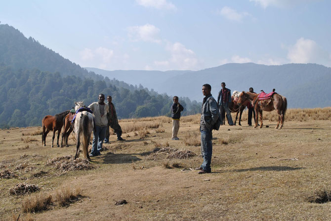 Bale Mountains, Pferdetrekking, Bale Trek, Äthiopien, Reiseführer, Afrika