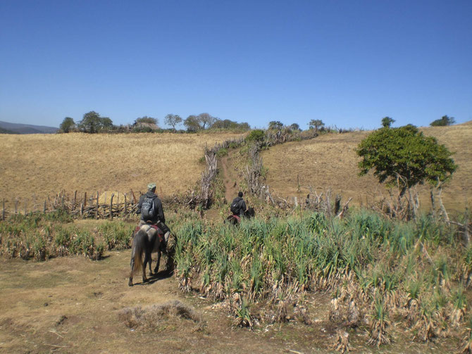 Bale Mountains, Pferdetrekking, Bale Trek, Äthiopien, Reiseführer, Afrika