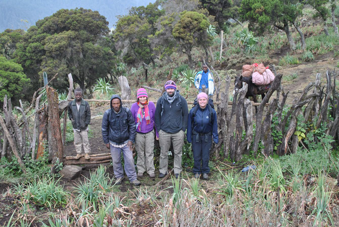 Bale Mountains, Pferdetrekking, Bale Trek, Äthiopien, Reiseführer, Afrika