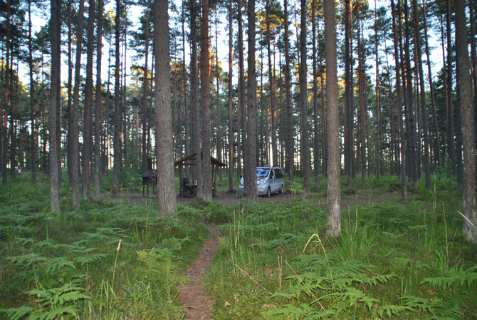 Wild Camping, Wild Campen, Peipussee, Estland, RMK, Opel Vivaro