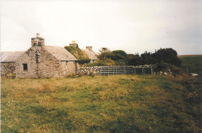 Recent photo of West Lairo, Shapinsay, where Magnus Swanie died, 1862, farm of son Thomas Swanie.  Probaby a larger, later house.  Photo courtesy of Maureen Hunter, Edinburgh / Karen Wood, South Ronaldsay. 