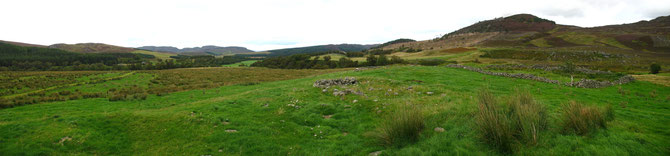 View looking north over ruined farm of Balnagaig on the estate of Dunmaglass, 2011.  John Smith, shepherd, lived here in 1881, after death of wife Annie McBean. Green grass around ruins is characteristic of once cultivated, fertile "plaggen" soils.  
