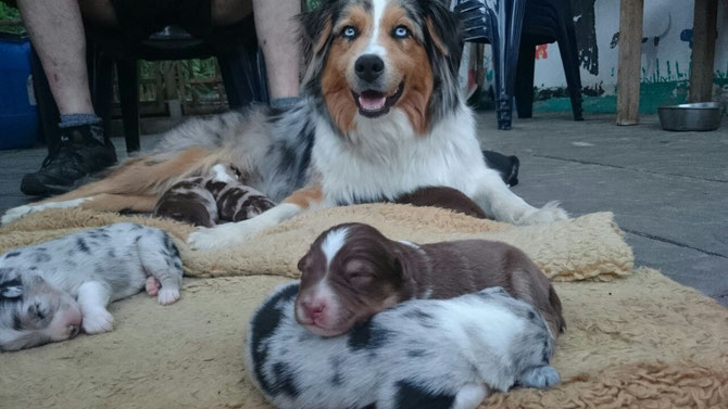 So ist es bequem! 