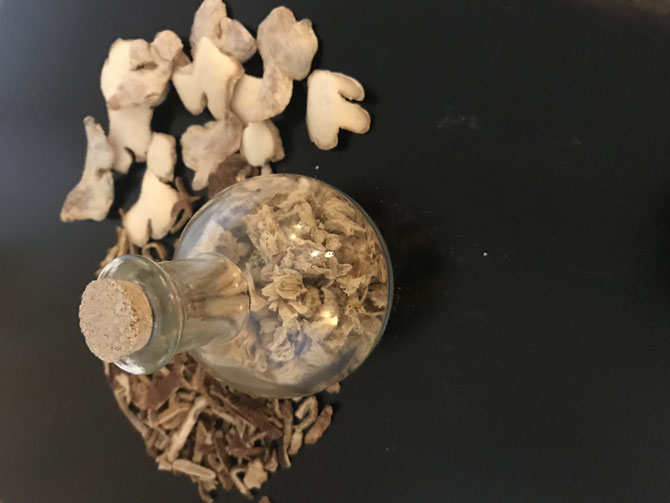 Blue Sage Rates Blue Sage Acupuncture & Herbs Grand Junction, CO