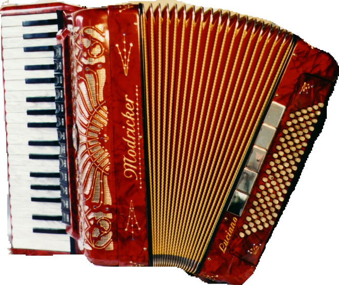 Piano Akkordeon 37 4 96, 41 4 120, Cassotto Verzierungen A Mano Stimmplatten, neu