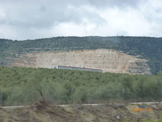スペインの内陸は石灰岩の台地。　手前はオリーブの木。