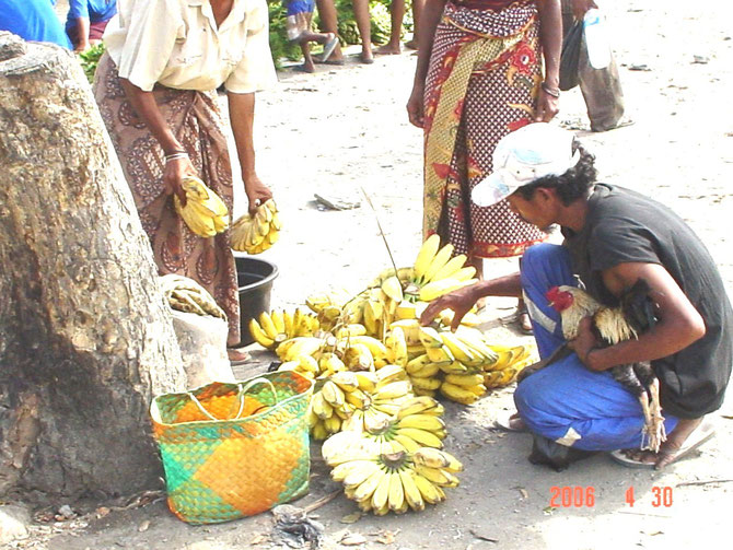 市場で売られているバナナは意外に小さい。　男が抱えているのは闘鶏用のニワトリらしい。