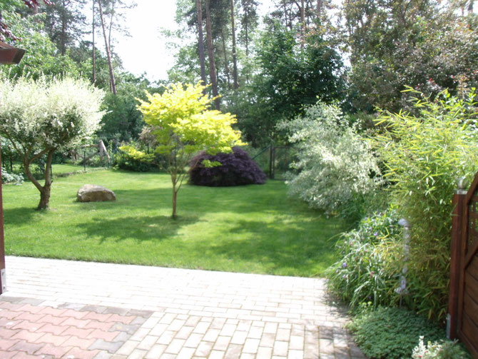 Blick vom Essbereich in den Garten