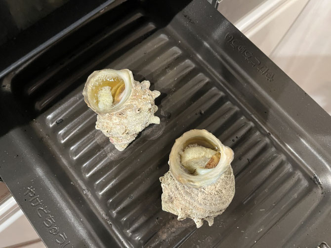 サザエのつぼ焼きも準備中。。これは和っぽい