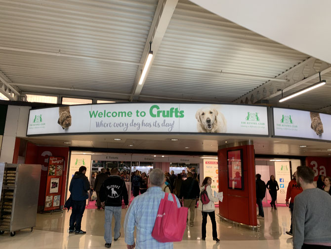 Samstag auf der Crufts im NEC Birmingham