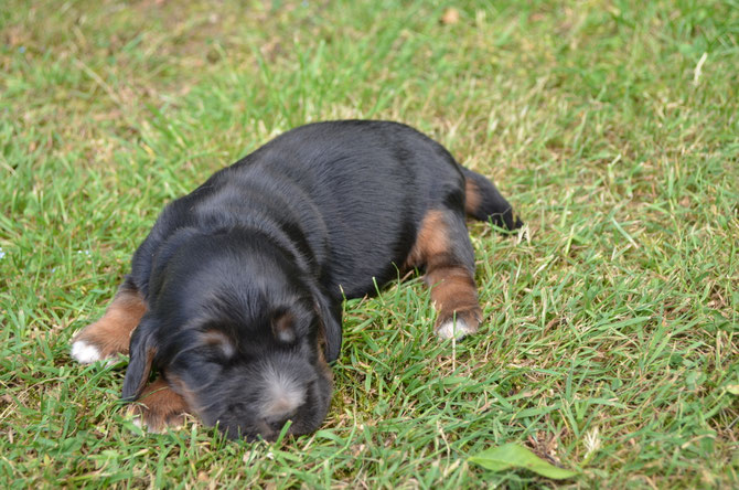 Gero 02.06.2019