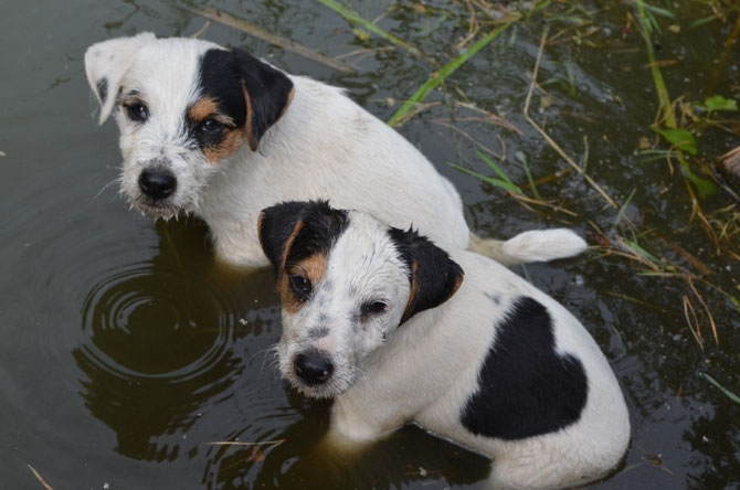 Barnie und Bart 5.7.15