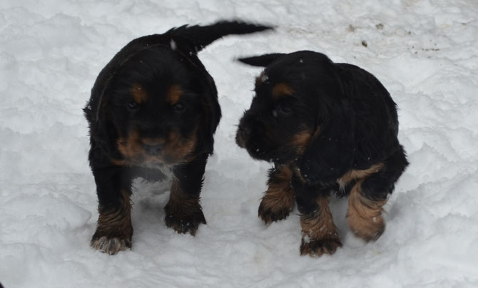 Dante links und Dori rechts 9.11.16