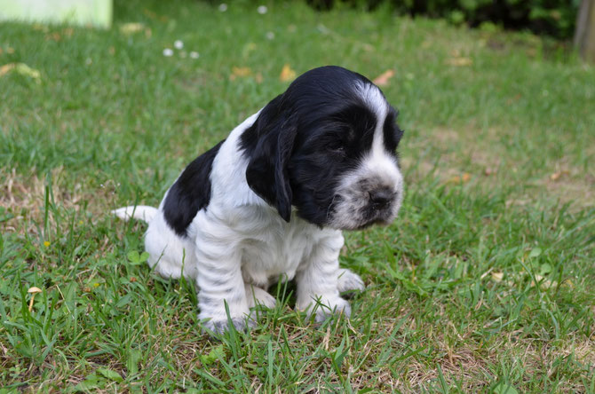 Günter 16.06.2019