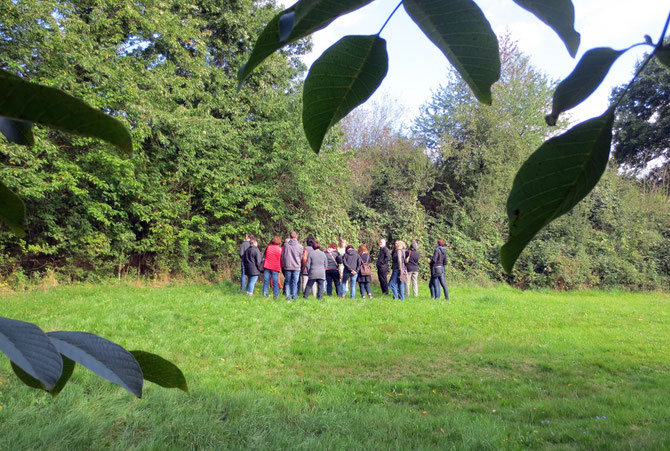 Wildkräutererlebnis im Herbst - unsere Gruppe an der Wildfruchthecke neben meinem Garten, eingerahmt von Walnussblättern.