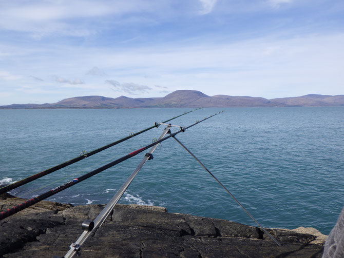 Hungry Hill in the background but not many hungry fish in Bantry Bay