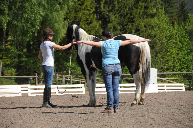 Horsemanship Kurs - Martina Jeremic