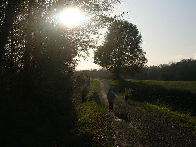 Chemin faisant - Photo droits réservés