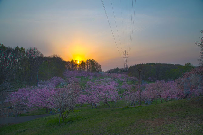日本 北海道 札幌 夕暮れに沈む平岡梅公園 HDR