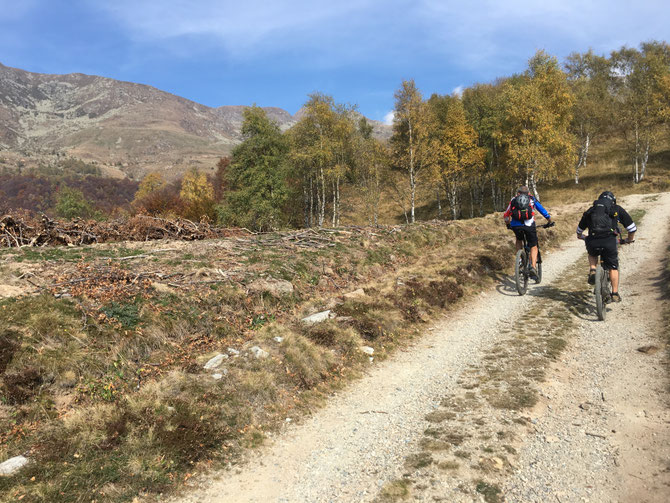 molto bello l'ambiente, sembra di essere molto più in alto, ma simo solo a poco più di mille metri di quota