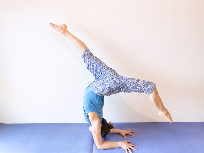 合田賢二ヒョニはじめてのアシュタンガヨガ、ハタヨガ ヴィンヤサフローヨガ GODA KENJI YOGAごうだけんじゴウダケンジ2