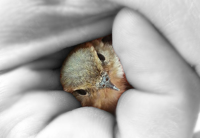 être sous l'emprise de quelqu'un