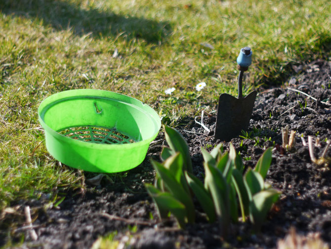 cultiver son jardin intérieur