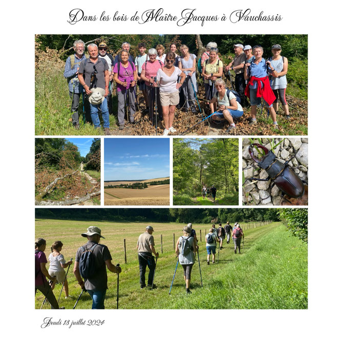 19 Participants (Photo Montage Colette)