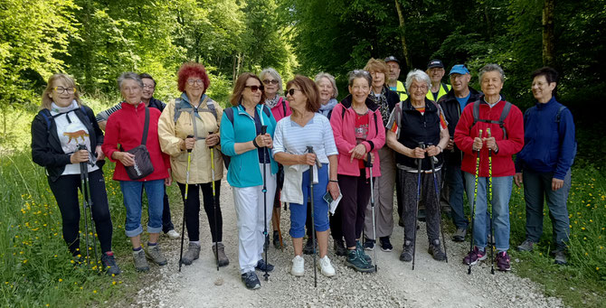 17 Participants
