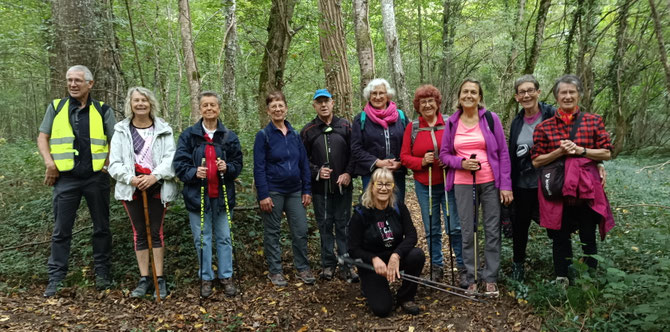 12 Participants