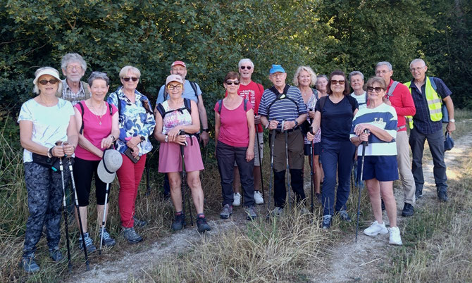 17 Participants