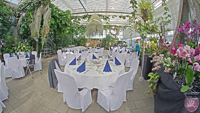 Orchideenhaus Müller Steinmaur Gewächshaus Hochzeit Heiraten Wedding DJ Benz