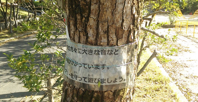 木に巻き付けられたラミネートが半分に裂けていました