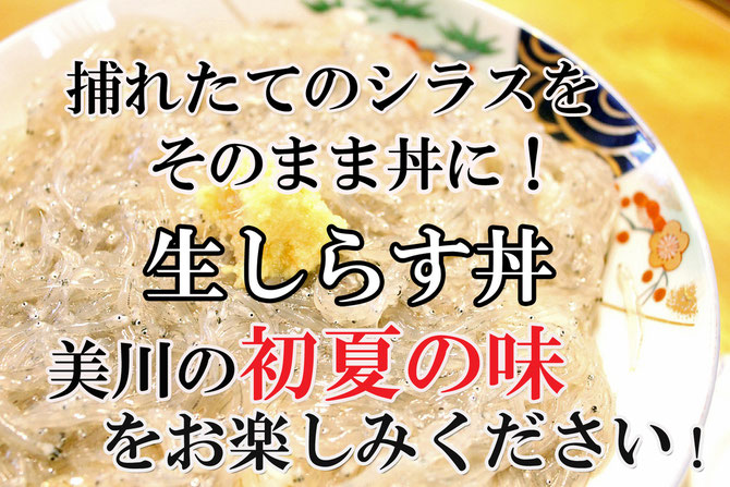 生しらす丼