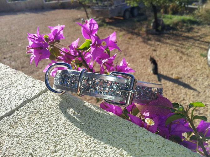 These synthetic (non leather) collars will make your furkid look radiant! Silver sold out! Gold only in small size with D-ring (plus 3 euro). For our bigger friends without D-ring (to show off). This small sample 15 euro! 