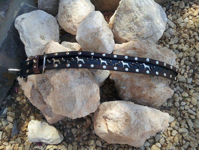 Elliots new collar: 2mm black cow leather 5 cm wide, 5 Dobermann conchos, 14 spikes, on top and bottom a 1 cm wide 6mm thick strip of brown cowhide, 5cm roller buckle, D-ring, 79 euro.