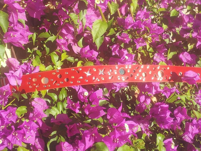 "Fiesta collar", 4 cm wide red cow leather with several peepholes to a gold or silver colored leather inlay. X~mas offer: 45 euro!