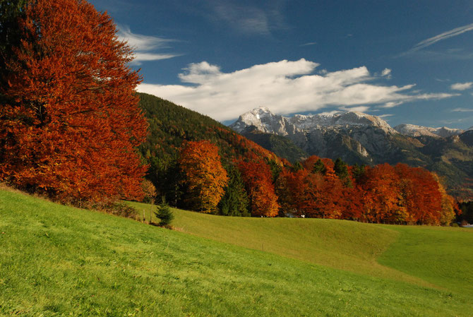 Blick auf die Berchtesgadener Berge mit Kehlstein, Hohem Göll, Hohem Brett und Schneibstein. © stepro.jimdo.com